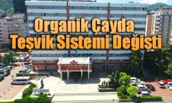 ÇAYKUR organik çayda destekleme bedeli ödeme sistemi değişti