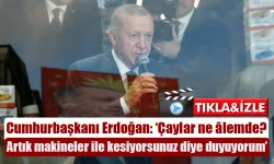 Cumhurbaşkanı Erdoğan Rize'de sordu  'Çay nasıl çay?'