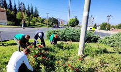 Büyükşehir, yabancı otlarla mücadele ve bakım çalışmalarına hız verdi