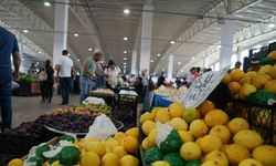 Çayın limonsuz içilmediği Erzincan’da limon fiyatı yüzleri güldürdü