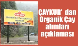 ÇAYKUR’dan 3. sürgün organik çay kota açıklaması