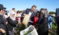 Başkan Akın, kadın çiftçilerin yanında