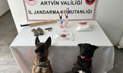 Jandarmanın durdurduğu aracın farından kaleşnikof şarjörü çıktı