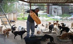 Kemer Belediyesi mama üretim tesisini açıyor