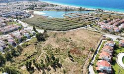 Kuşadası Belediyesi çevrecilerin yüzünü güldürdü