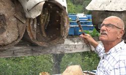 Rize’de karakovan balının hasadı tamamlandı, fiyatı belirlendi