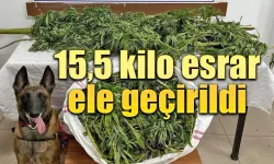 15.5Kg esrarla yakalanan şahıs tutuklandı