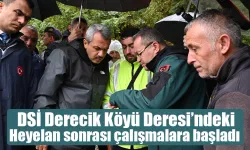 DSİ Çayeli Derecik Köyünde çalışmalara başladı