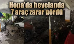 Hopa'da korkutan heyelanda 7 araç zarar gördü