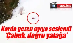 Karda gezen ayıya seslendi: Çabuk, doğru yatağa