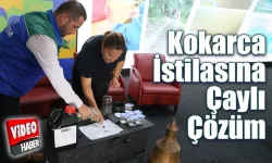 Kokarca istilasına çare ÇAY