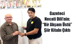 Gazeteci Necati Dili’nin; “Bir Akşam Üstü” şiir kitabı çıktı