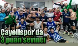 Smart Holding Çayelispor'da 3 puan sevinci