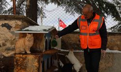 Elazığ’da sokak hayvanları için doğaya yem bırakıldı