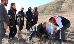 Erzincan’da Tuz Çalısı Ormanı kuruldu