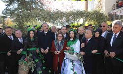 Gaziantep Zeytin Festivali başladı