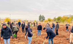 Geleceğe kök salacak fidanlar toprakla buluşturuldu