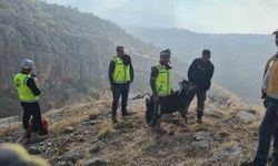 Uçurumda mahsur kalan keçiyi ERKUT ekipleri kurtardı