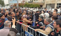 "Vali çık lan buraya" diyen gösterici gözaltına alındı