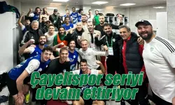 Çayelispor Fatsa engelini de 3 puanla aştı seriye devam etti