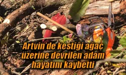 Artvin’de kestiği ağaç üzerine devrilen adam hayatını kaybetti