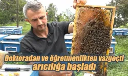 Doktoradan ve öğretmenlikten vazgeçti, arıcılığa başladı