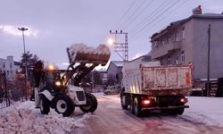 Arpaçay Belediyesi’nden kar temizliği