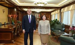 Çavuşoğlu, Azerbaycan Milli Meclis Başkanı Gafarova ile görüştü