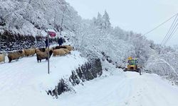 Doğu Karadeniz’de 123 köy yolu ulaşıma kapandı