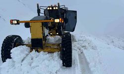 Elazığ’da 41 köy yolunu açma çalışması sürüyor