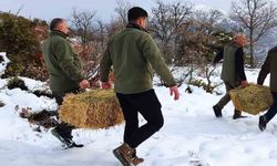 Elazığ’da yaban hayvanları için doğaya yem bırakıldı