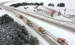 Erzincan güne kar yağışıyla uyandı