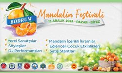 Geleneksel Bodrum Mandalin Festivali başlıyor