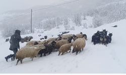 Muş’ta kar yağışı çiftçilerin hayatını olumsuz etkiledi