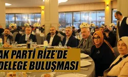 AK Parti Rize’de delege buluşması