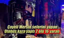 Çayeli Mersin seferini yapan Otobüs kaza yaptı 2 ölü 16 yaralı