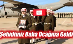 Şehidimiz baba ocağına geldi