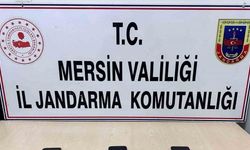 Sahte ilan vererek vatandaşları dolandıran 1 şüpheli tutuklandı