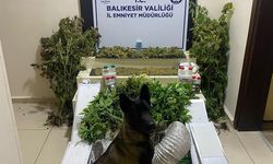 Bandırma’da zehir tacirlerine geçit yok: 1 gözaltı