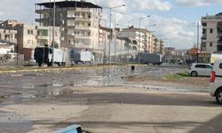 Batman’da Nevruz kutlamalarında çıkan olaylarda 4 kişi gözaltına alındı