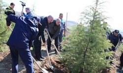 Dünya Ormancılık Günü’nde Çanakkale’de 4 bin fidan toprakla buluştu