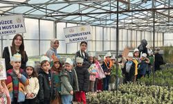 Enerji dostu mavi yeşil okul
