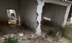 Erdek’te barınak çilesi: Belediyenin ilgisizliği pes dedirtti