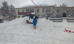 Erzurum’da kar yağışı etkili oluyor