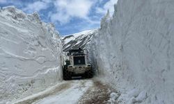 Hakkari’de 5 metreyi aşan karda yol açma çalışması