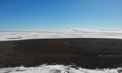 Kars Kuyucuk Kuş Gölü bataklığa döndü