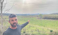 Keçilerini otlatan çobana silahlı saldırı: 1 keçi telef, 1 keçi yaralı