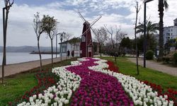 Ordu’da lale devri