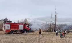 Van’da anız yangını