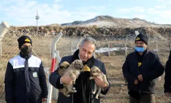 Kayseri Talas'ta patili dostlara büyük destek